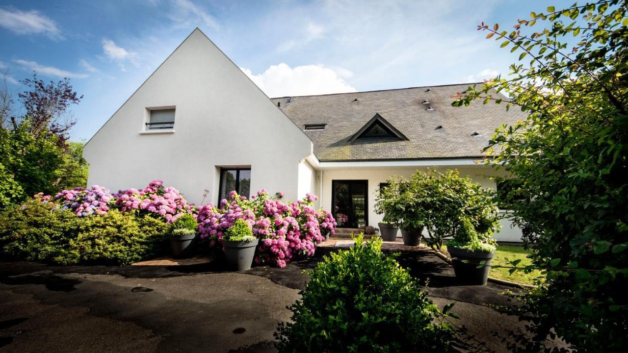 Le Champ Du Renne Bed and Breakfast Le Mans Exteriör bild